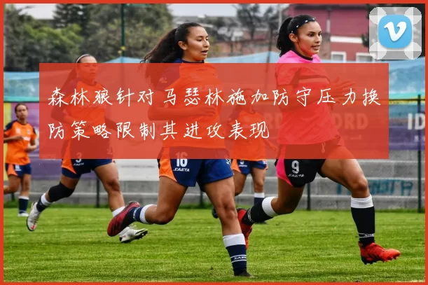 森林狼针对马瑟林施加防守压力换防策略限制其进攻表现